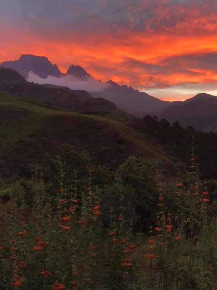 Misty Peaks Cloudlands Villa Bergview Ngoại thất bức ảnh